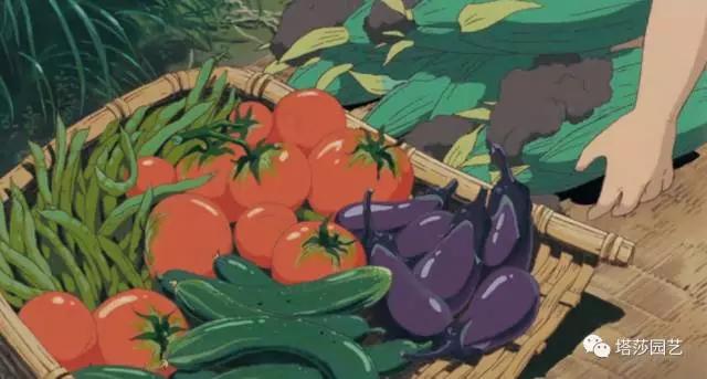 9.jpg 治愈系:《龍貓》中的植物世界(二)