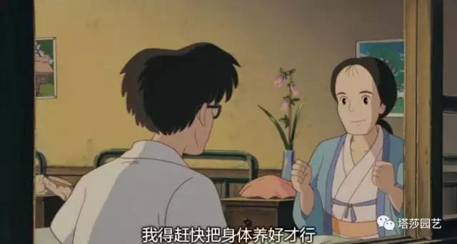 19.jpg 治愈系:《龍貓》中的植物世界(二)