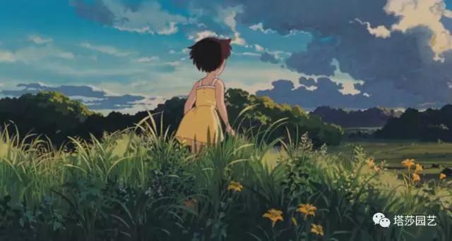 14.jpg 治愈系:《龍貓》中的植物世界(二)