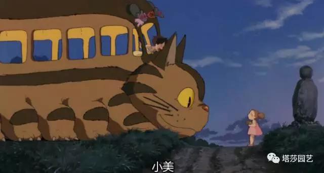 18.jpg 治愈系:《龍貓》中的植物世界(二)