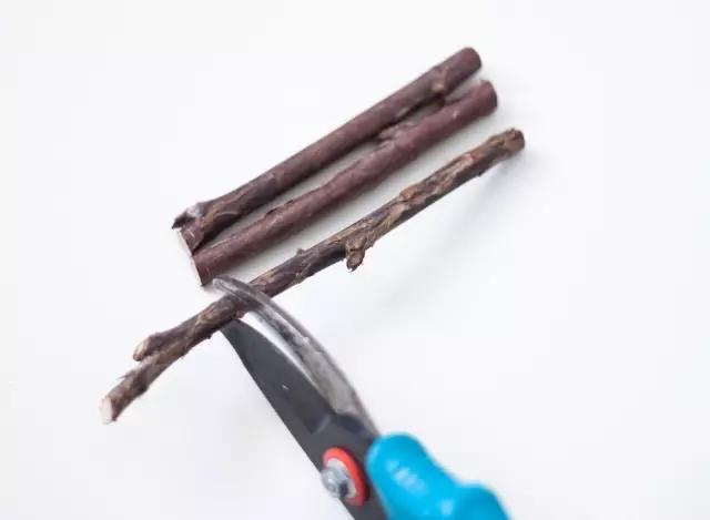 2.jpg 田園風(fēng):原來樹枝還能做這些