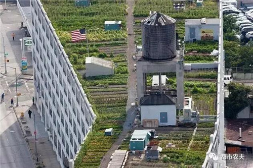 3_副本.jpg 全球最大屋頂菜園如何運營