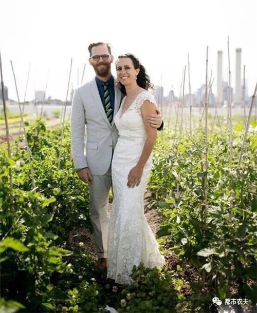 5_副本.jpg 全球最大屋頂菜園如何運營