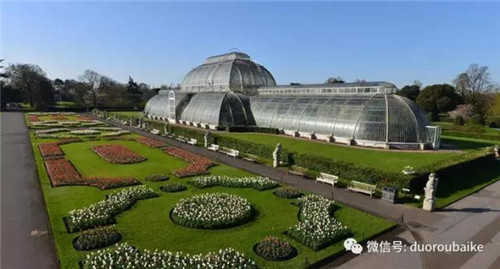 邱園——愿意愛好者的圣地