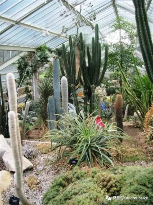 邱園——愿意愛好者的圣地