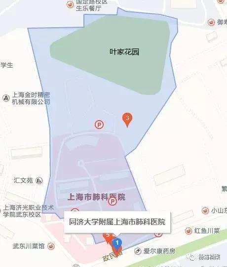 葉家花園：一座隱秘在楊浦的百年園林