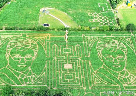 英國(guó)玉米迷宮