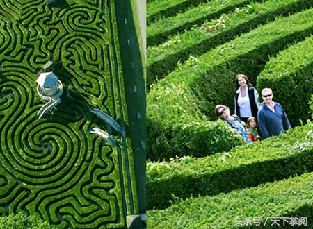 英國(guó)最長(zhǎng)的樹籬迷宮