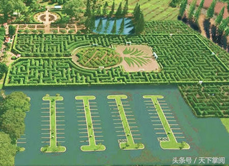 夏威夷鳳梨花園迷宮