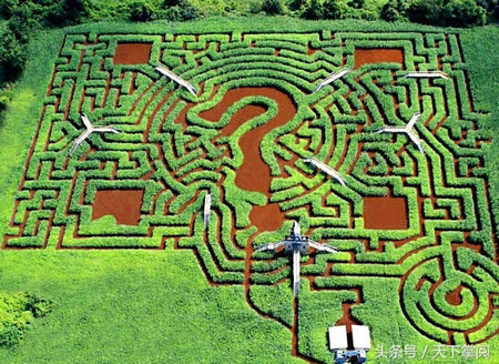 DavisMegaMazeDavisMegaMaze玉米迷宮