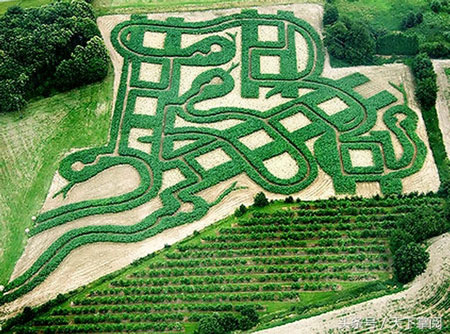 英國(guó)厄普丘奇的Snakes‘nLadders