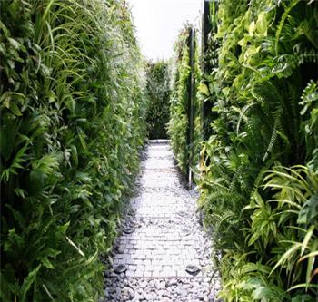 秘密花園——世界上面積最大的垂直花園