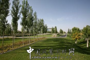 章俊華:新疆巴州和碩政府廣場