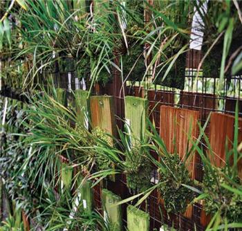 中國風景園林網