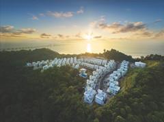 中國風景園林網