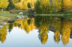 人與自然和諧共生——美國皮特金縣濱河農場