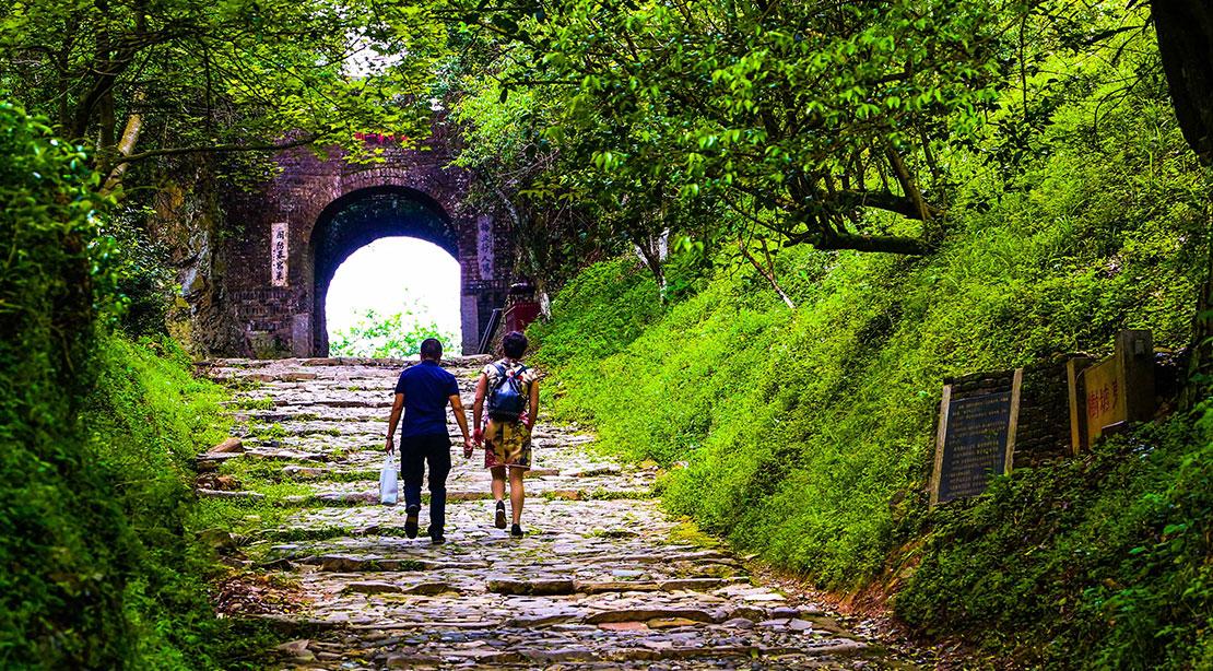 園林綠化_規劃設計_園林新聞