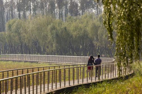 SWA作品丨長沙巴溪洲島景觀設計項目