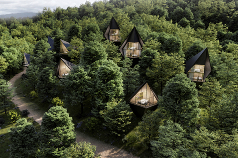 樹之屋Tree Houses