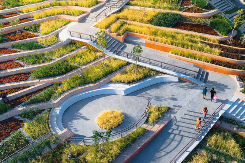 泰國國立法政大學城市屋頂農(nóng)場