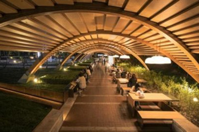 北京林業(yè)大學(xué)“林之心”景觀改造項目正式亮相