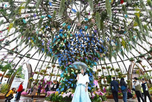 重慶啟幕第三屆城市花博會(huì) 線上線下迎花卉盛宴