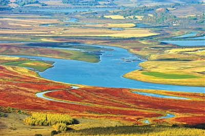 習(xí)近平關(guān)心濕地保護(hù)的故事