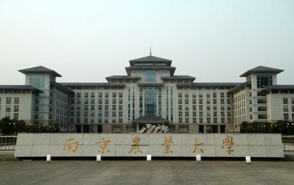 南京農業大學新增文化遺產專業 保護民族記憶