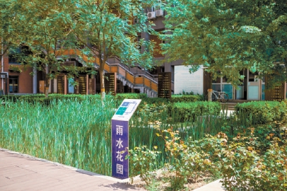 北京交通大學“雨水花園”里的秘密