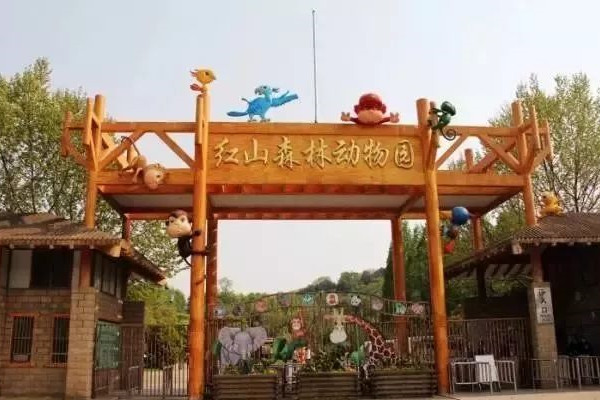 22國師生為南京紅山動物園構筑“動物理想家”