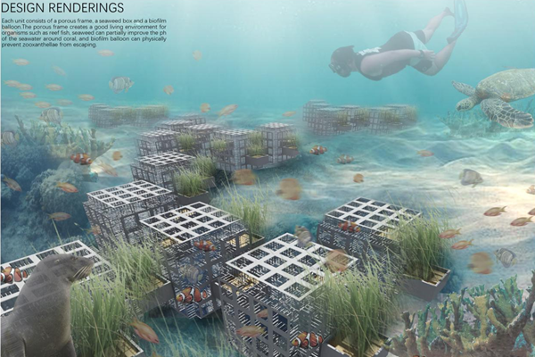 第十二屆園冶杯一等獎作品《White Crisis——印尼西海岸珊瑚保護計劃》解讀