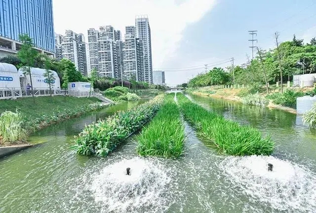 四部門印發(fā)黑臭水體治理攻堅戰(zhàn)方案