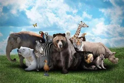 崔書紅:開啟生物多樣性保護(hù)新篇章