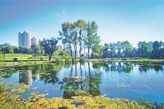 趙兵:結(jié)合市場(chǎng)營(yíng)銷進(jìn)行公園設(shè)計(jì)