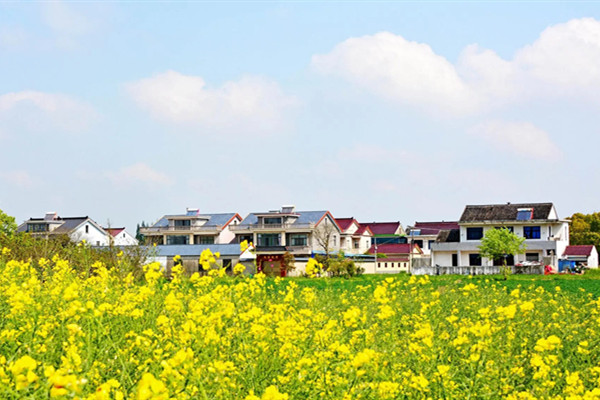 南京林業(yè)大學(xué)舉辦美麗鄉(xiāng)村規(guī)劃與建設(shè)學(xué)術(shù)研討會