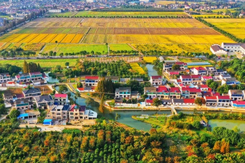 清華美院聯合編制江蘇首個鄉村建設美學導則發布