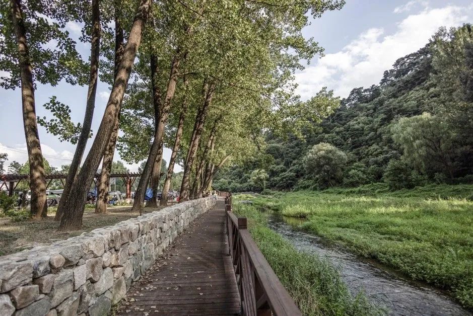 園冶杯參賽作品丨栗花溪谷中的風(fēng)景道