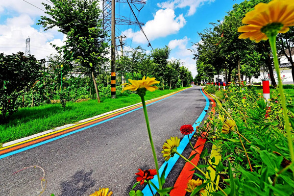 十四五鄉村綠化美化行動方案的亮點