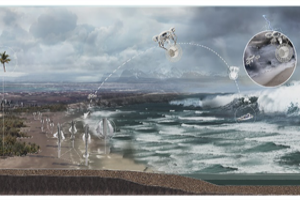 第十三屆園冶杯一等獎作品賞析丨逆風(fēng)而上