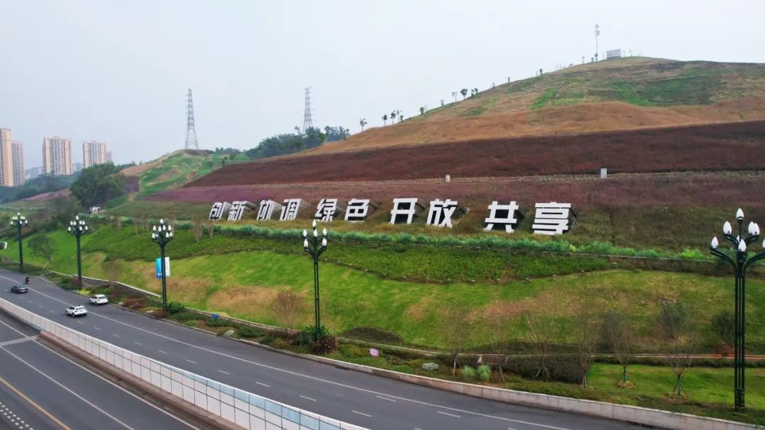 園冶杯獲獎作品丨掛弓山邊坡生態修復