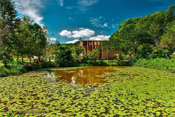 臺灣南投縣桃米村:多元產業融合 打造生態IP