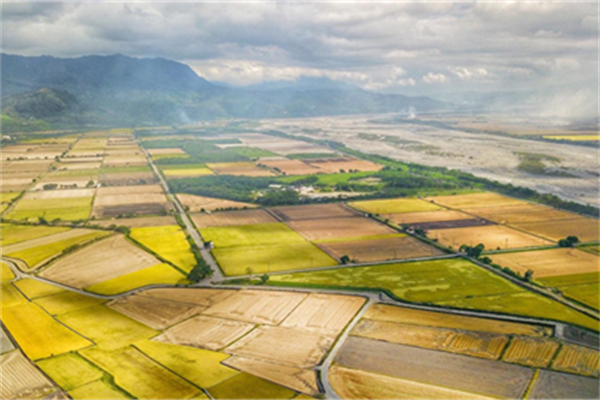 臺東縣池上鄉(xiāng)：稻米之鄉(xiāng)奏響四季樂章