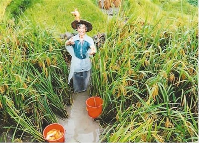 保護和推廣農業遺產在哪些方面獲得成功？