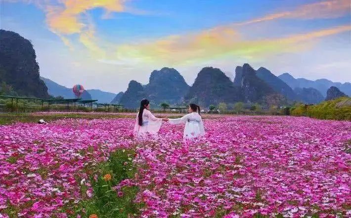 發展賞花游,還得算好生態賬