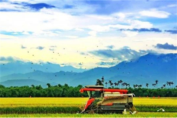 嘉義縣大林鎮(zhèn)：諧音梗不扣錢 反成流量密碼