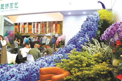 花卉經濟復蘇迎來更多合作發展機遇