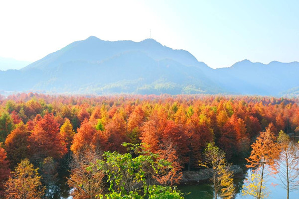 第二批“天氣氣候景觀觀賞地”發布