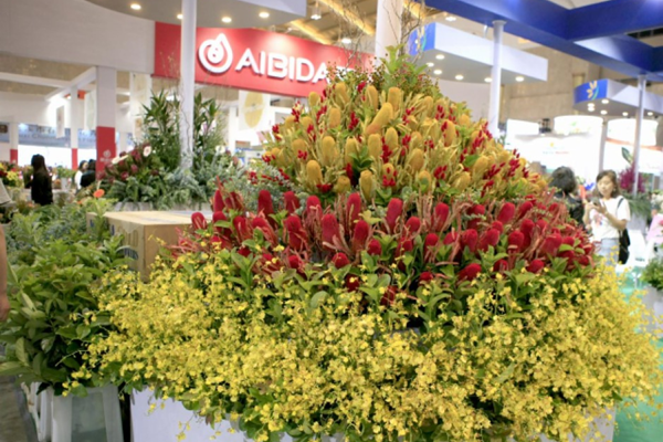 闊別3年 中國昆明國際花卉展回歸