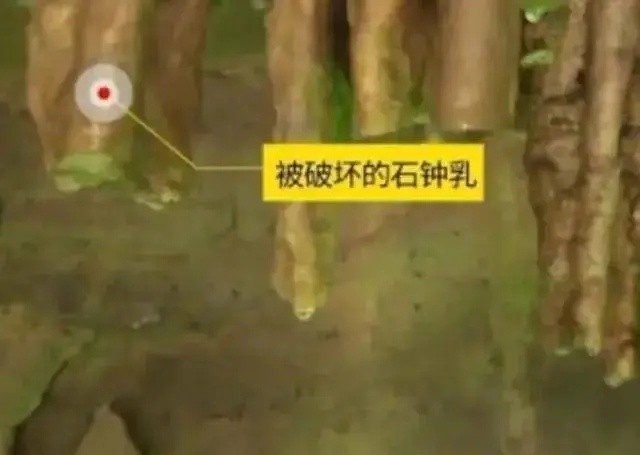 黃果樹景區(qū)上萬年景觀被男孩用磚頭敲下帶走