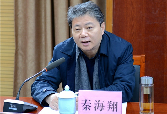 住建部副部長秦海翔談實施城市更新行動